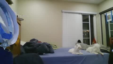 oorah1775 online show from December 2024 05:12:01 AM