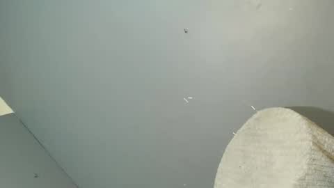 ARA online show from October 2025 01:50:02 PM