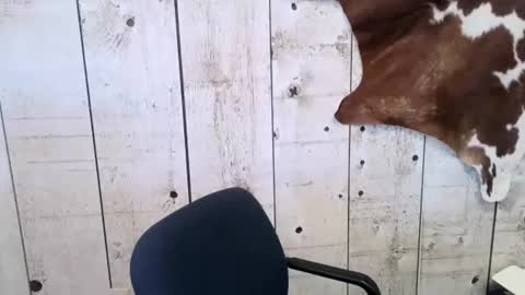 kinkynerd online show from February 2025 04:47:01 PM