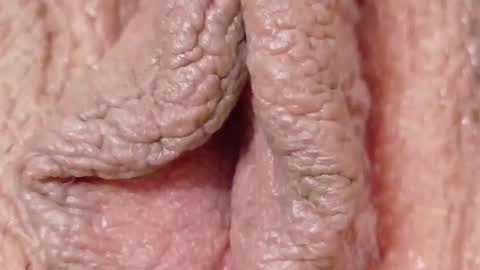 Snapshot of orchidekitty chatting on February 2026 09:13:01 PM orchidekitty online show from February 2026 09:13:01 PM