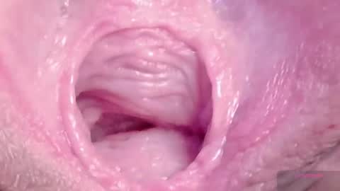 orchidekitty online show from March 2026 09:11:01 PM