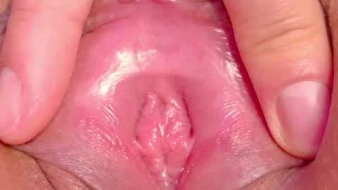 orchidekitty online show from May 2026 12:41:02 AM