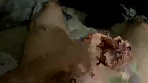 orgasaman2169 online show from February 2025 01:51:01 AM