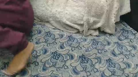 originalcali95 online show from February 2026 08:27:01 PM