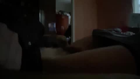 Snapshot of originreal chatting on December 2025 09:58:02 AM originreal online show from December 2025 09:58:02 AM