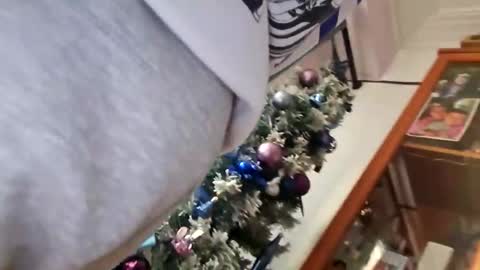 orlandovilla48 online show from December 2025 12:36:02 PM