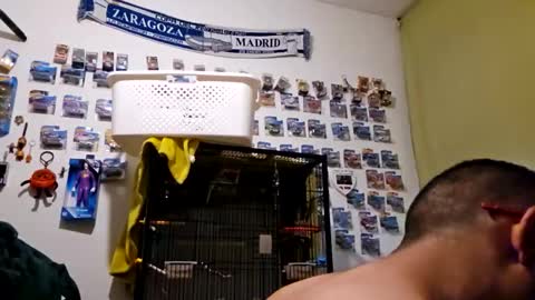 orlandovilla48 online show from April 2026 05:12:02 PM