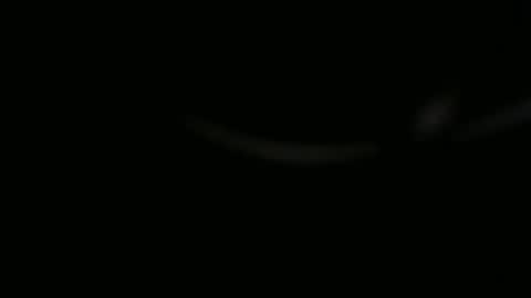 Snapshot of ossibottom chatting on November 2025 10:01:01 PM Ossi online show from November 2025 10:01:01 PM