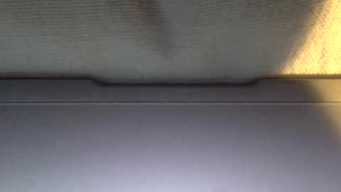 Snapshot of ottodick chatting on January 2025 04:05:01 PM Otto online show from January 2025 04:05:01 PM