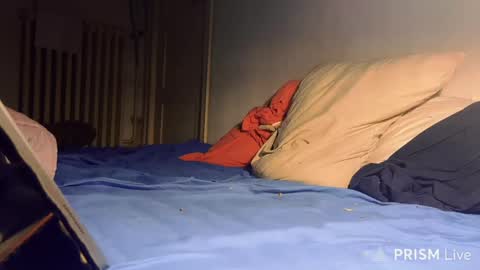 baba online show from May 2026 12:41:02 AM