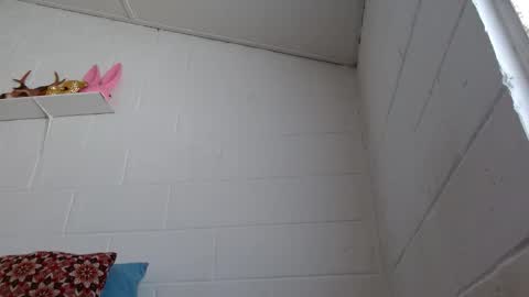 Jeannifer online show from February 2026 02:39:01 PM