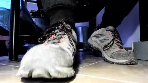 Pablo Meness online show from March 2026 06:29:01 AM