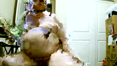 Snapshot of pafatguy chatting on December 2024 01:14:01 PM Bill online show from December 2024 01:14:01 PM