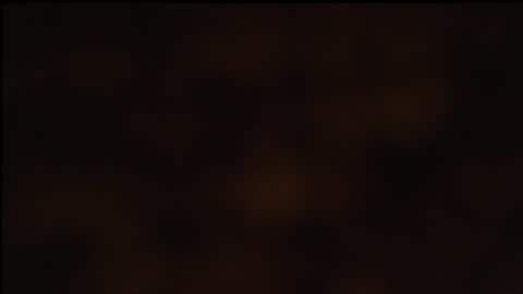 Snapshot of paiper_halliwey_ chatting on January 2025 10:23:02 AM paiper online show from January 2025 10:23:02 AM