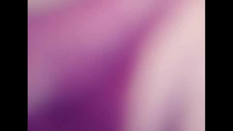   PALA online show from March 2025 08:16:02 AM