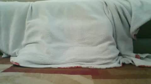 palmerwoodx online show from February 2026 05:33:01 PM