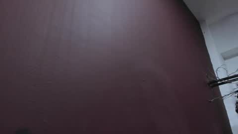 Snapshot of pamelaascott chatting on October 2025 04:24:02 AM P A M online show from October 2025 04:24:02 AM