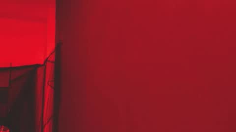 Snapshot of pamelaascott chatting on November 2025 04:03:02 AM P A M online show from November 2025 04:03:02 AM