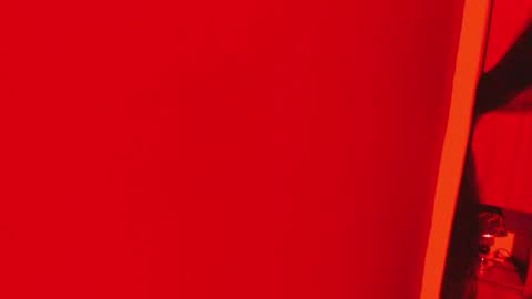 Snapshot of pamelaascott chatting on November 2025 04:07:02 AM P A M online show from November 2025 04:07:02 AM