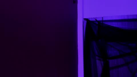 Snapshot of pamelaascott chatting on November 2025 04:12:02 AM P A M online show from November 2025 04:12:02 AM