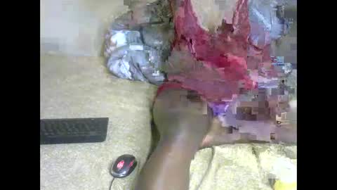 pamela online show from April 2026 05:49:01 AM