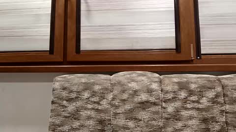 angel hris online show from January 2025 08:15:02 PM