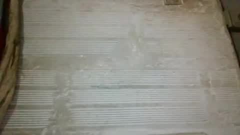 panthers_room online show from October 2025 08:54:02 AM