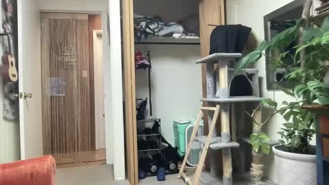 Pantiesofthefae online show from October 2025 09:53:01 AM