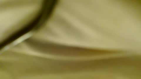 Snapshot of pantyjim19 chatting on February 2025 09:55:01 AM PantyJim19 online show from February 2025 09:55:01 AM