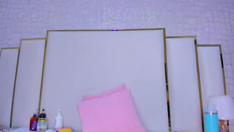 Snapshot of paolaa_rodriguez chatting on October 2025 12:04:02 PM Paola online show from October 2025 12:04:02 PM