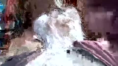 Snapshot of papajb70 chatting on January 2025 03:26:02 AM papajb70 online show from January 2025 03:26:02 AM