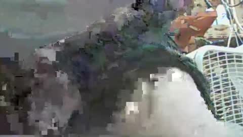 Snapshot of papajb70 chatting on September 2025 02:27:02 AM papajb70 online show from September 2025 02:27:02 AM