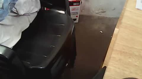 Snapshot of pareja201722 chatting on December 2024 07:46:02 PM pareja201722 online show from December 2024 07:46:02 PM