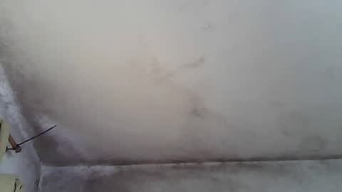 Snapshot of pareja201722 chatting on December 2024 04:25:01 PM pareja201722 online show from December 2024 04:25:01 PM