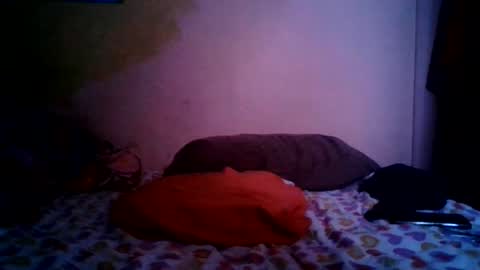 partyguy365 online show from July 2026 09:49:01 AM