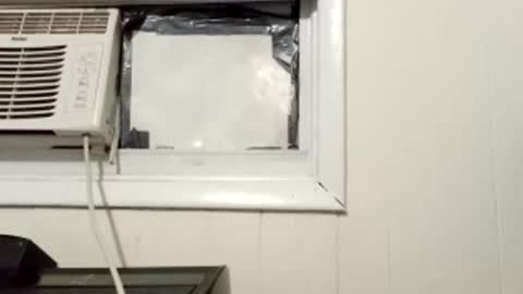 Snapshot of pato0008 chatting on March 2025 10:13:02 AM JD online show from March 2025 10:13:02 AM