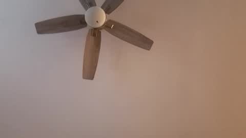 Snapshot of patrick247288 chatting on February 2025 02:38:02 PM patrick247288 online show from February 2025 02:38:02 PM