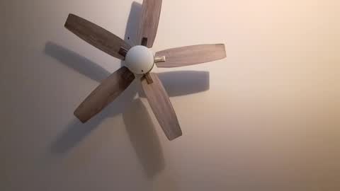 Snapshot of patrick247288 chatting on September 2025 04:25:02 AM patrick247288 online show from September 2025 04:25:02 AM