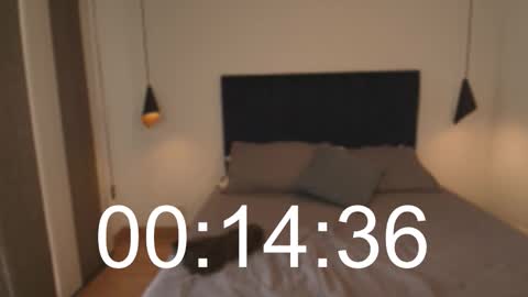 Patrick online show from November 2025 12:50:02 PM