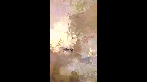 Snapshot of patrickalan2 chatting on December 2025 02:50:01 AM patrickalan2 online show from December 2025 02:50:01 AM