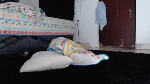 Snapshot of paula_torrez chatting on September 2025 02:08:01 PM paula_torrez online show from September 2025 02:08:01 PM