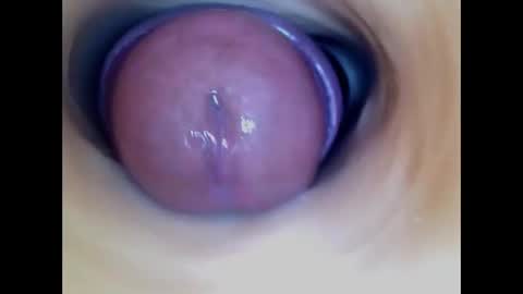 Paula 18 Aninhos online show from January 2026 04:31:01 PM