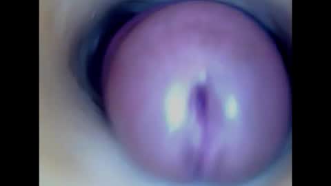 Paula 18 Aninhos online show from February 2026 03:31:01 PM