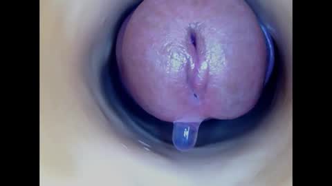 Paula 18 Aninhos online show from March 2026 05:08:02 AM