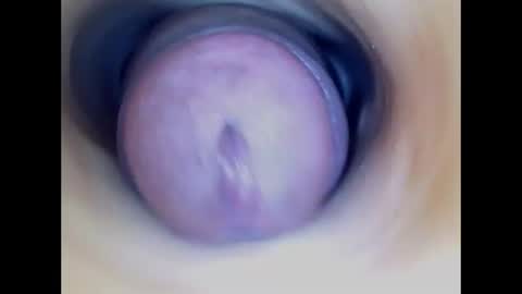 Snapshot of paulainoscente chatting on June 2026 01:24:02 PM Paula 18 Aninhos online show from June 2026 01:24:02 PM