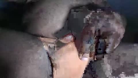 paulcockring online show from November 2025 04:34:01 AM