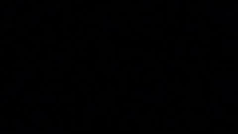 Paul online show from April 2026 06:42:02 PM