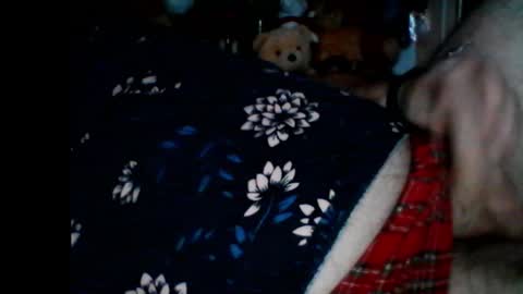 Snapshot of pbemid chatting on January 2025 08:57:02 AM Papabear online show from January 2025 08:57:02 AM