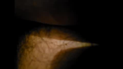 Alex online show from January 2025 12:31:02 AM