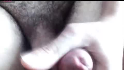 Snapshot of peiboluna chatting on December 2025 02:55:01 PM peiboluna online show from December 2025 02:55:01 PM